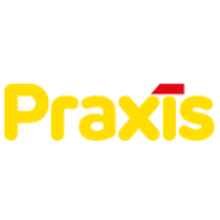 Praxis